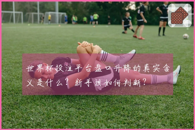 世界杯投注平台盘口升降的真实含义是什么？新手该如何判断？