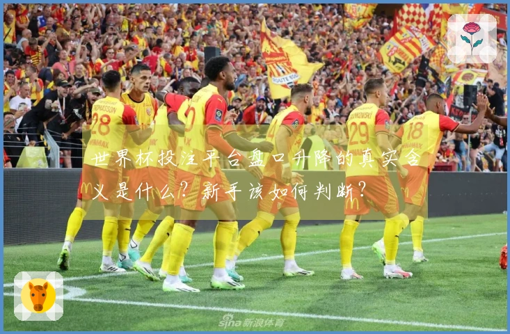 世界杯投注平台盘口升降的真实含义是什么？新手该如何判断？